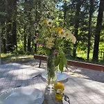 Kuca Za Odmor Carpe Diem Apartment Petrovac