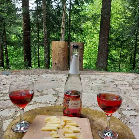 Kuca Za Odmor Carpe Diem *