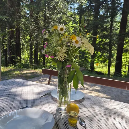 Kuca Za Odmor Carpe Diem Apartman Petrovac