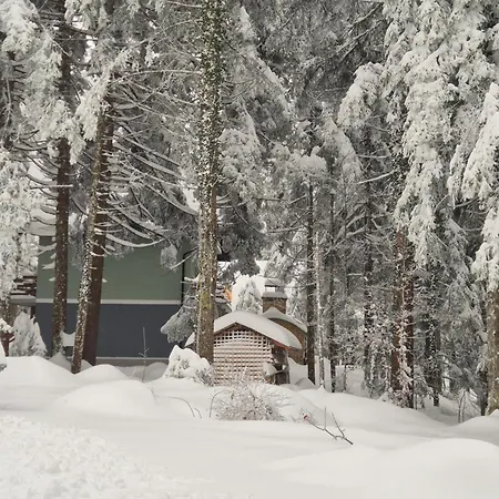 Kuca Za Odmor Carpe Diem *